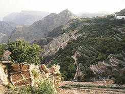 terrace fields at Jabal Al  Akhdar, Oman