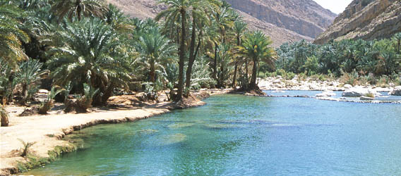 Wadi Bani Khalid Oman