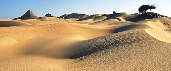 the dunes of the Wahiba Sands