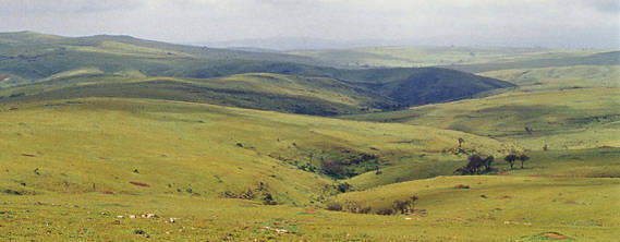 Dhofar mountains after monsoon