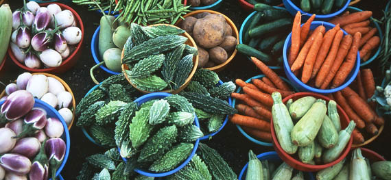 vegetables grown at the Batinah coast of Oman